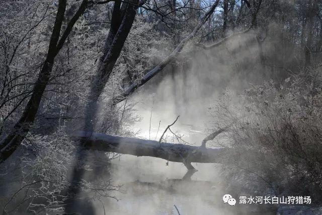 逃离空旷大街6