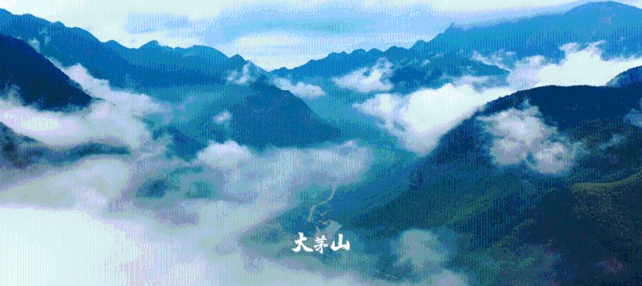 逃离宝船