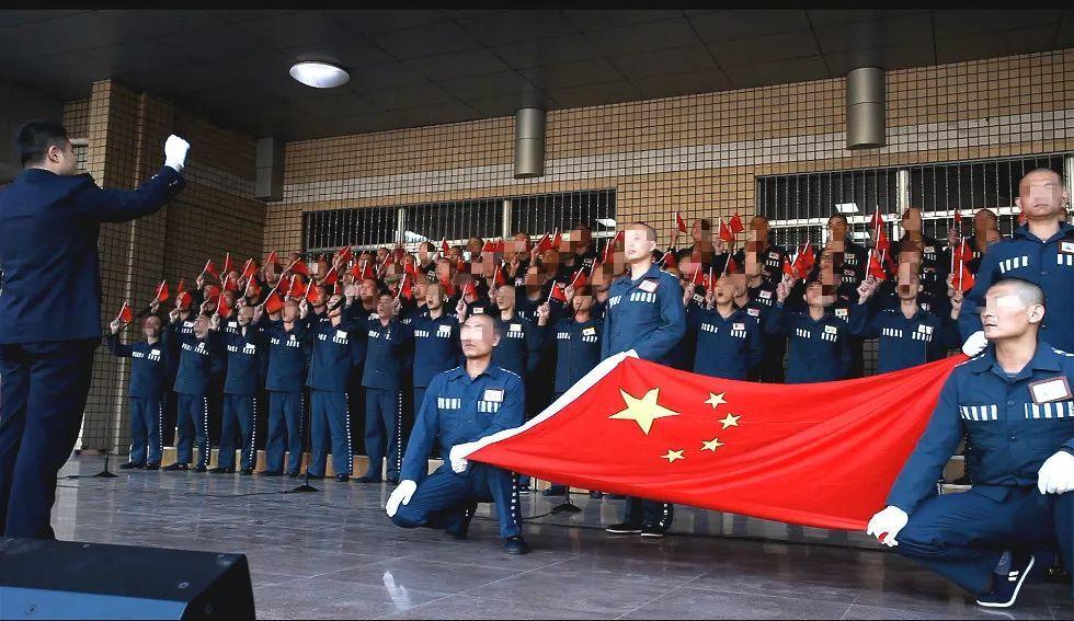 原始丛林找星星