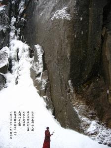 阴暗森林
