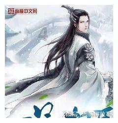 影子战术将军之刃