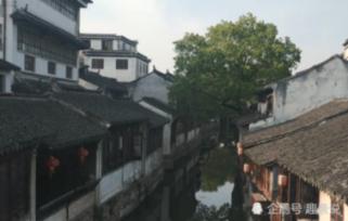 可爱的小孔雀救援