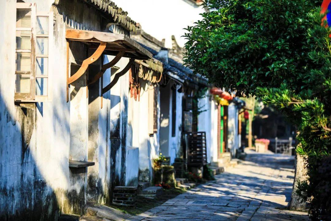 苹果期权聚焦:1月25日成交77.87万张,未平仓合约538.05万张
