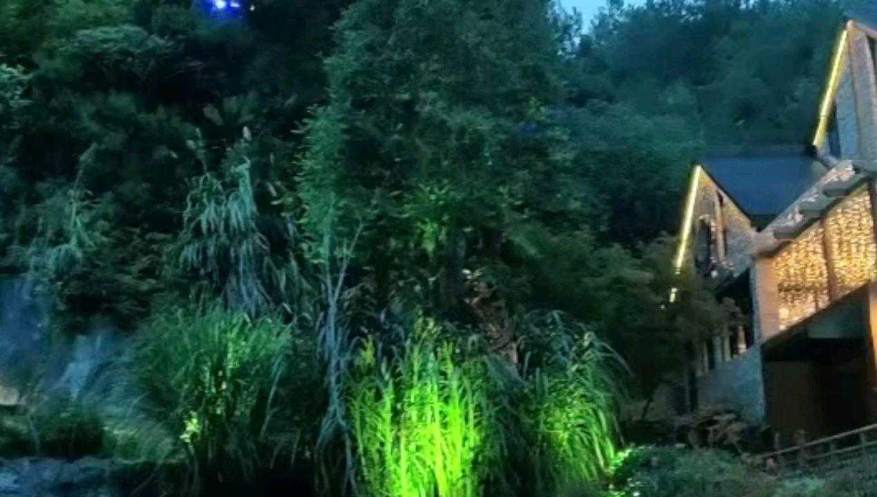 下雪了！福建预警连发！交警提醒、列车停运……
